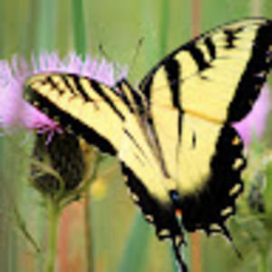 Meet your Posher, Marieta